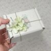 Caja para muñeca con logo de Evaninas.